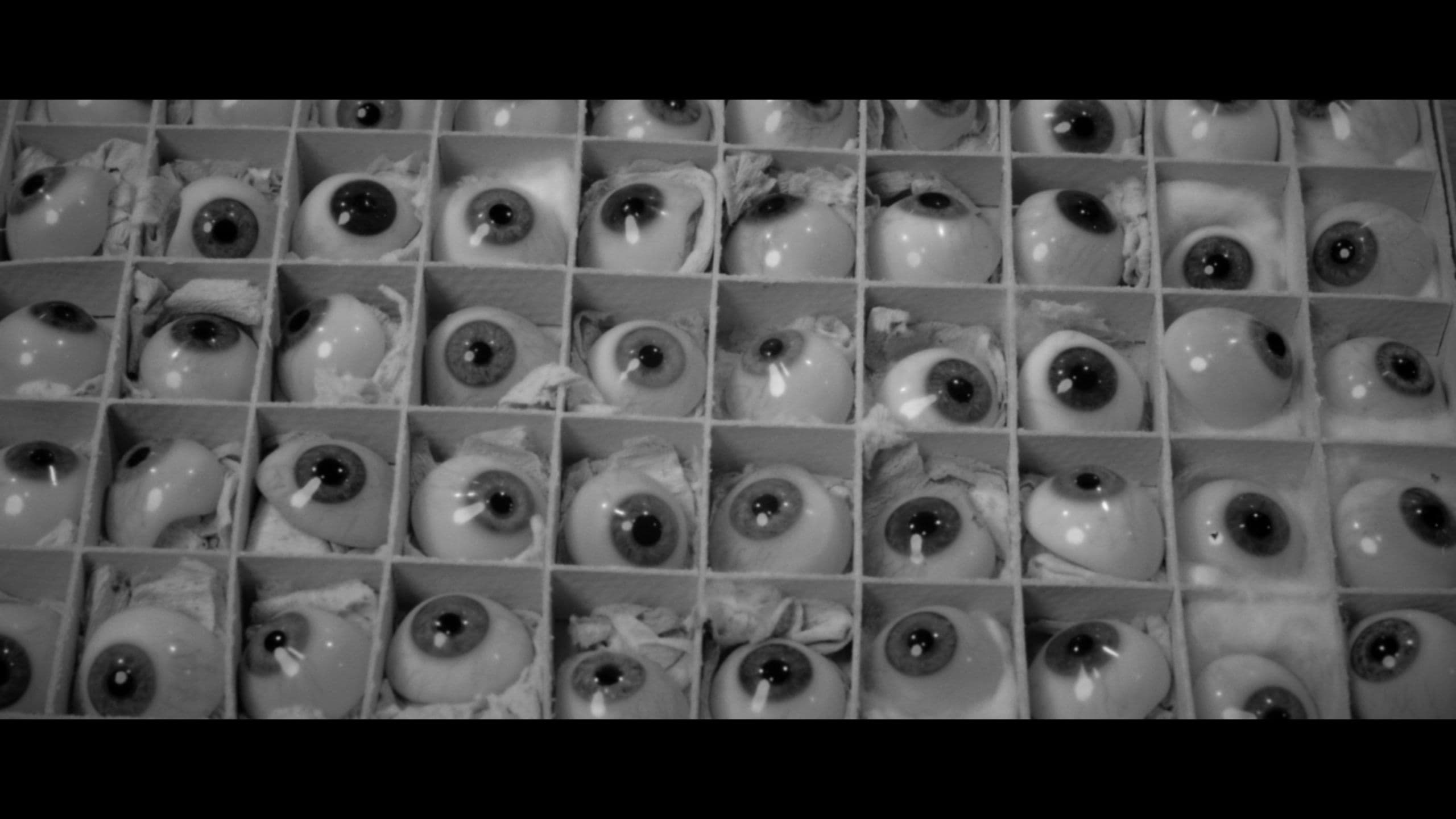 Poster backdrop for Folds