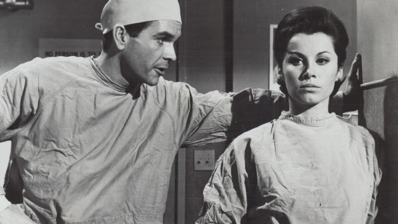 Poster backdrop for The New Interns