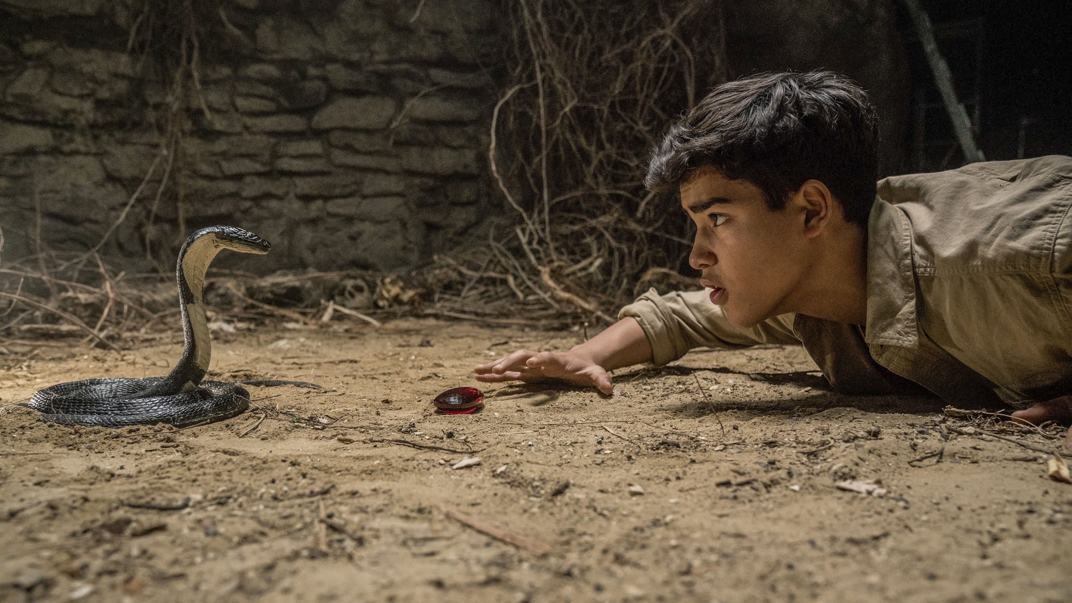 Poster backdrop for Iqbal & the Jewel of India