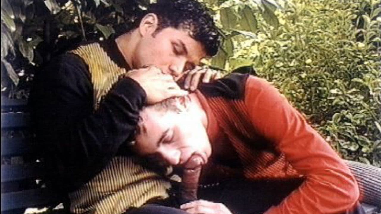 Poster backdrop for Floor Boys