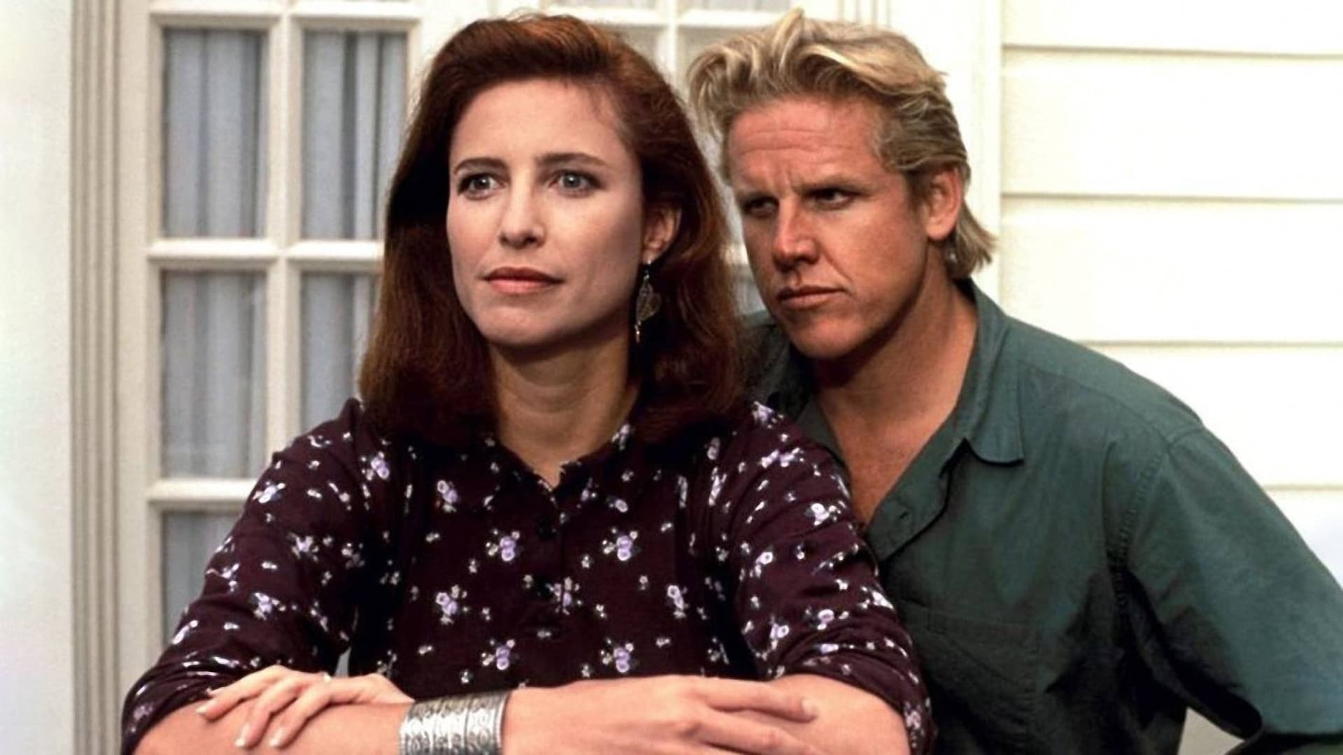 Poster backdrop for Hider in the House