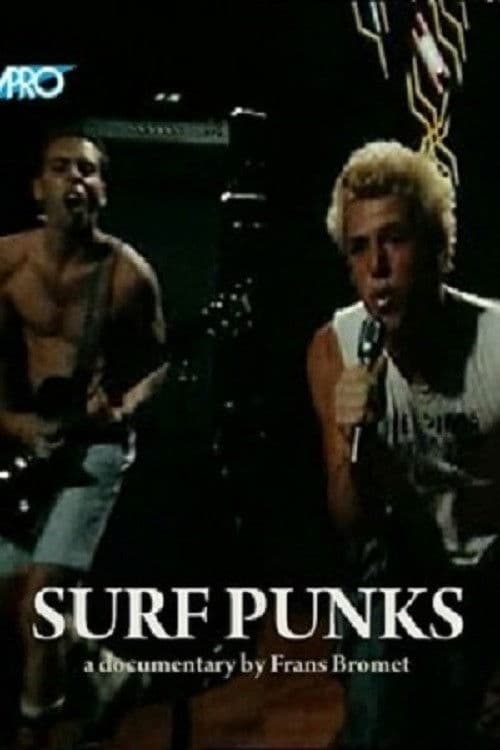 Poster backdrop for Surf Punks