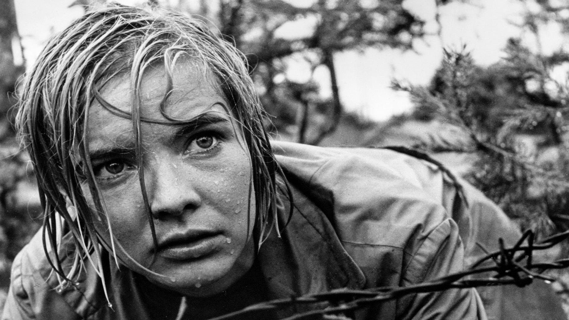 Poster backdrop for Star-Crossed Lovers