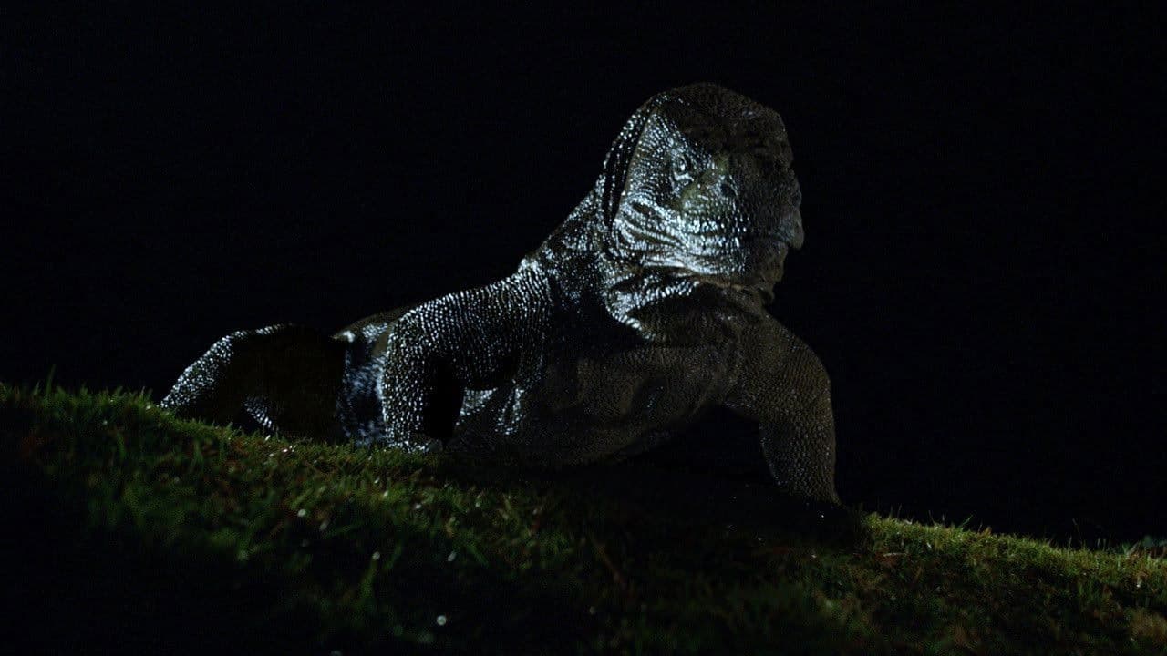 Poster backdrop for Komodo