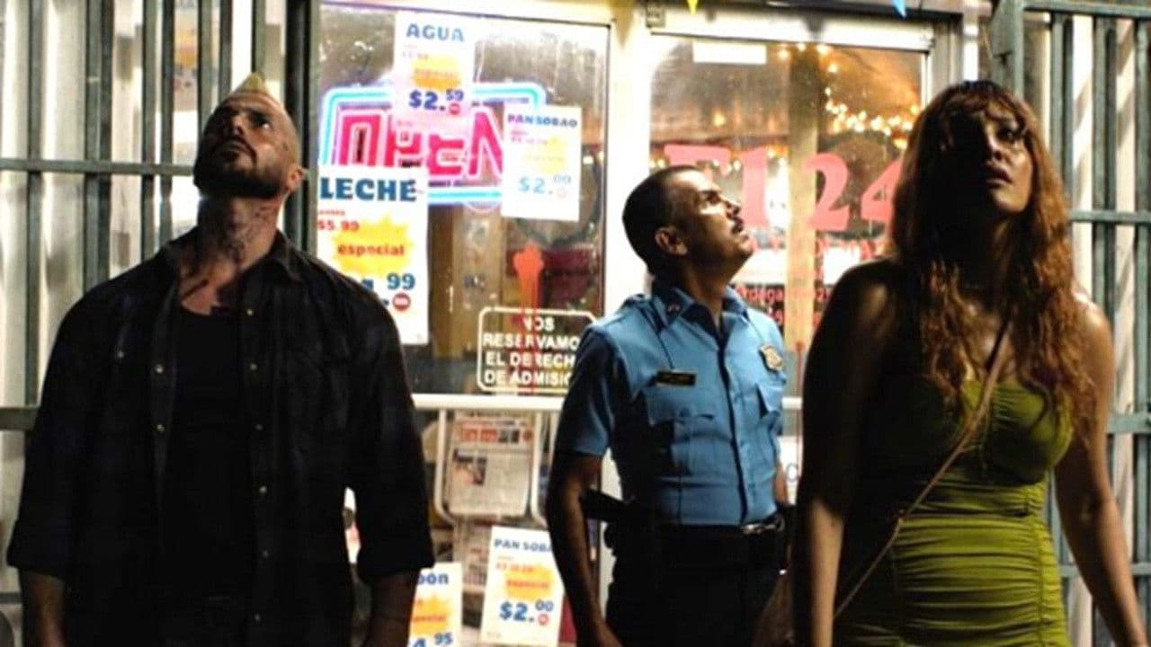 Poster backdrop for Borealis