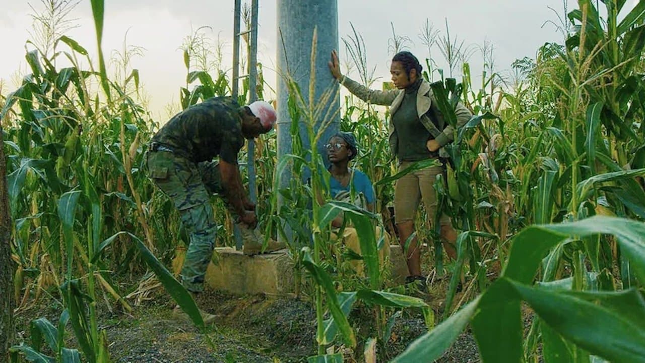 Poster backdrop for The Island