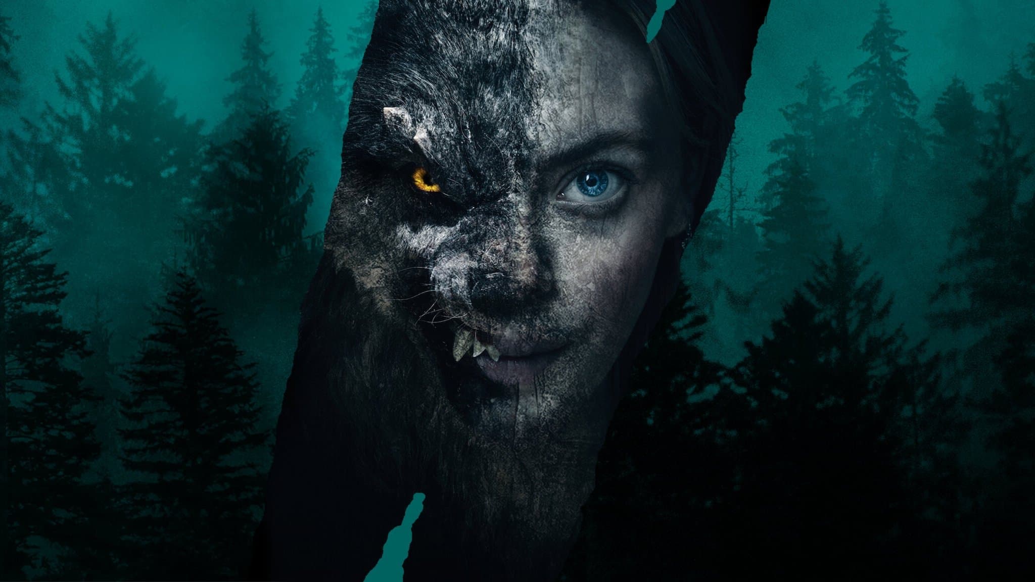 Poster backdrop for Viking Wolf