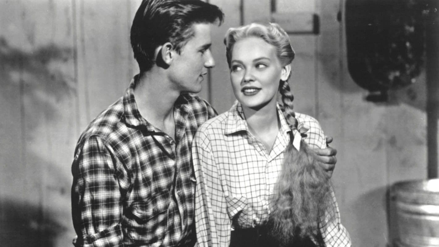 Poster backdrop for Black Midnight