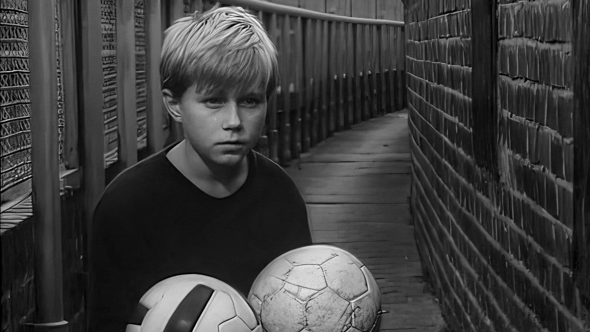 Poster backdrop for Shoot Paragon!