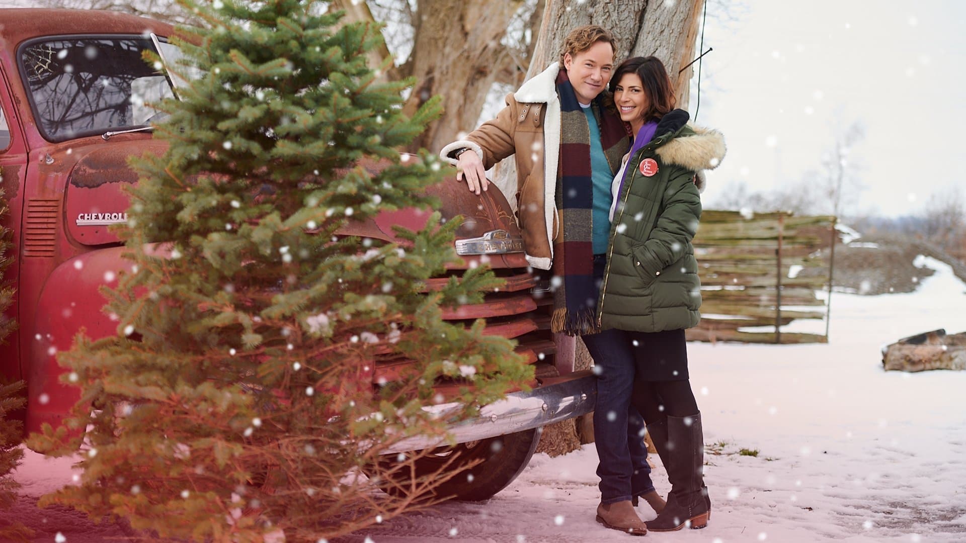 Poster backdrop for A Christmas Break