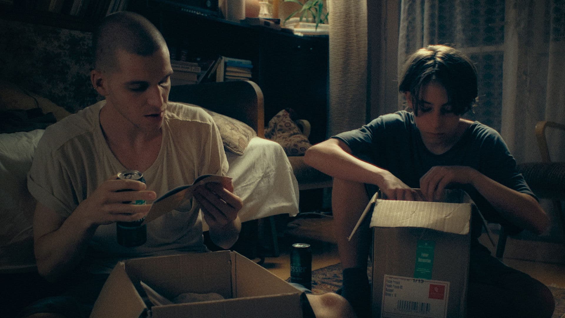 Poster backdrop for Another Nest