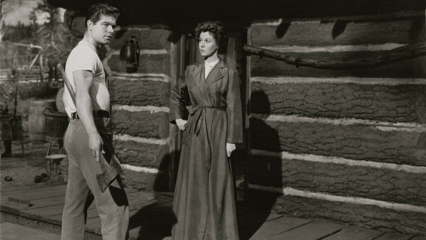 Poster backdrop for Woman Obsessed