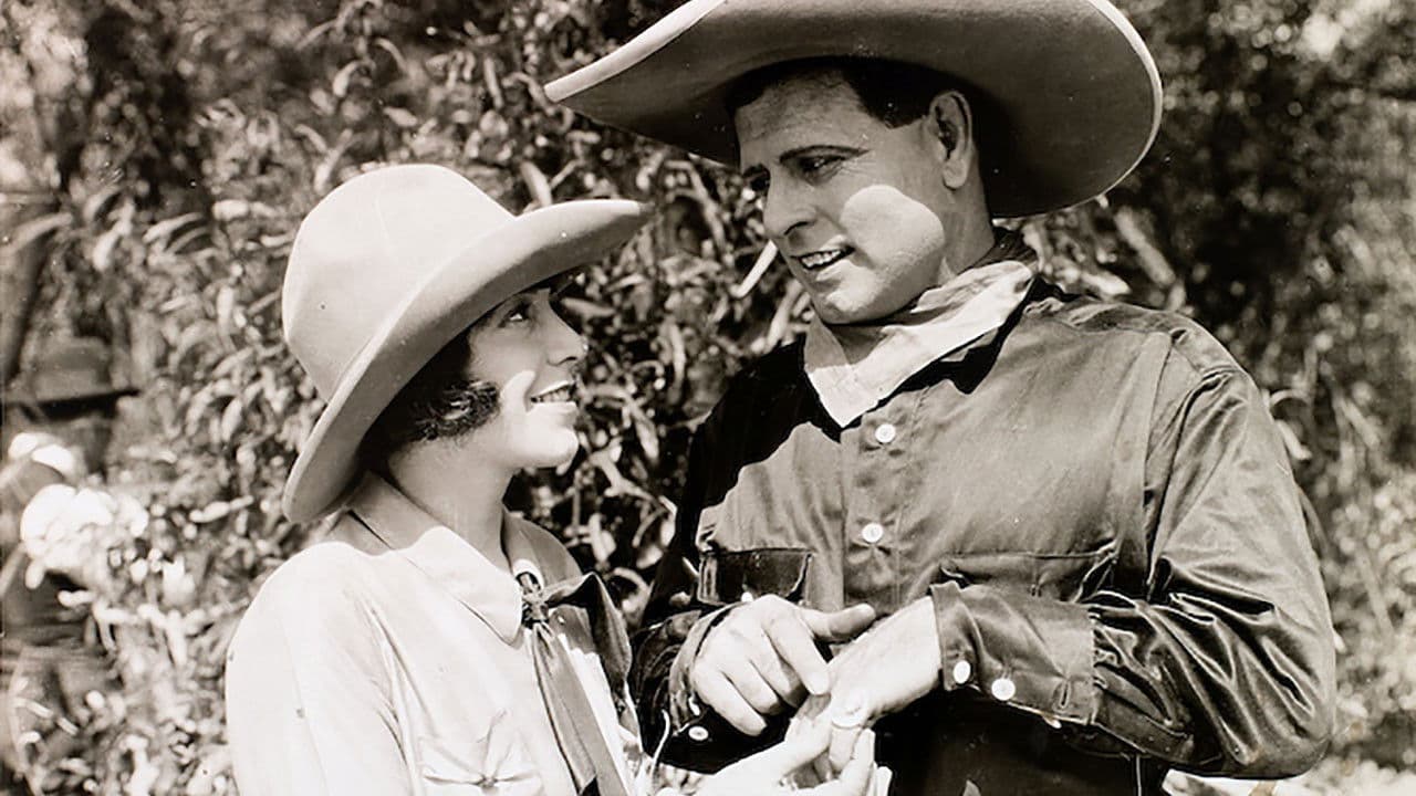 Poster backdrop for The Fighting Peacemaker