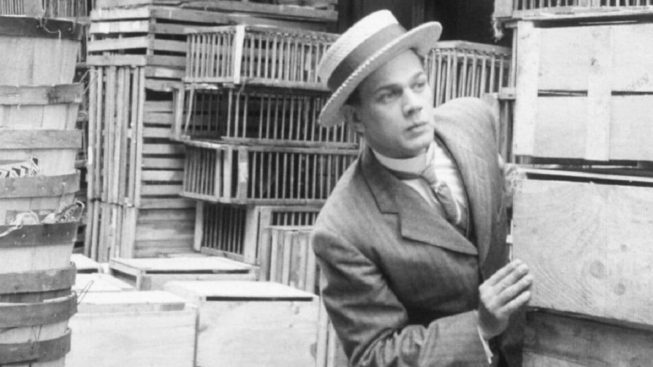 Poster backdrop for Too Much Johnson