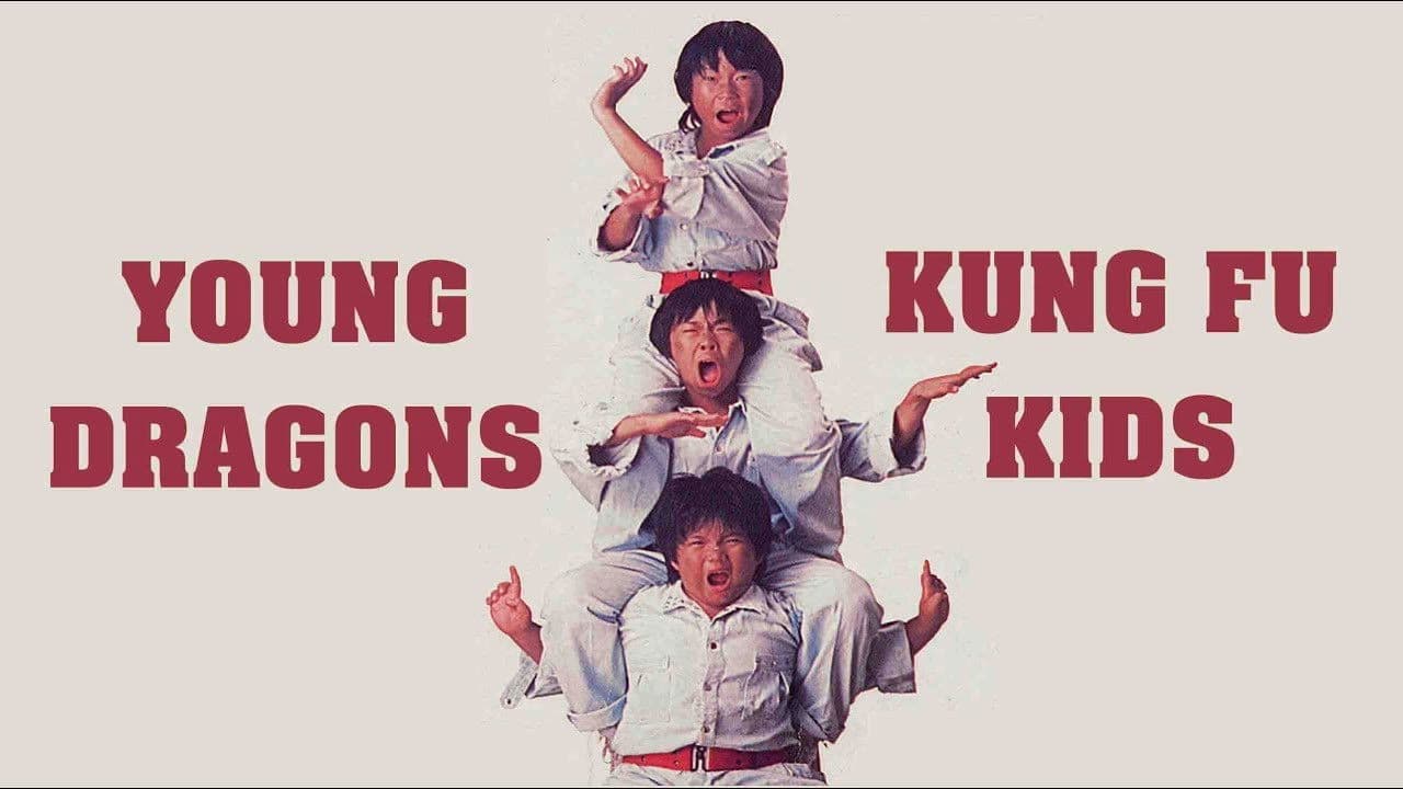 Poster backdrop for The Kung Fu Kids VI