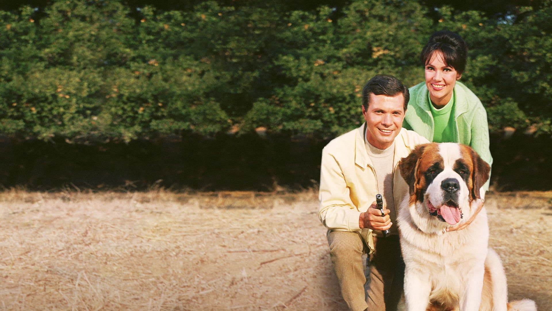 Poster backdrop for My Dog, the Thief