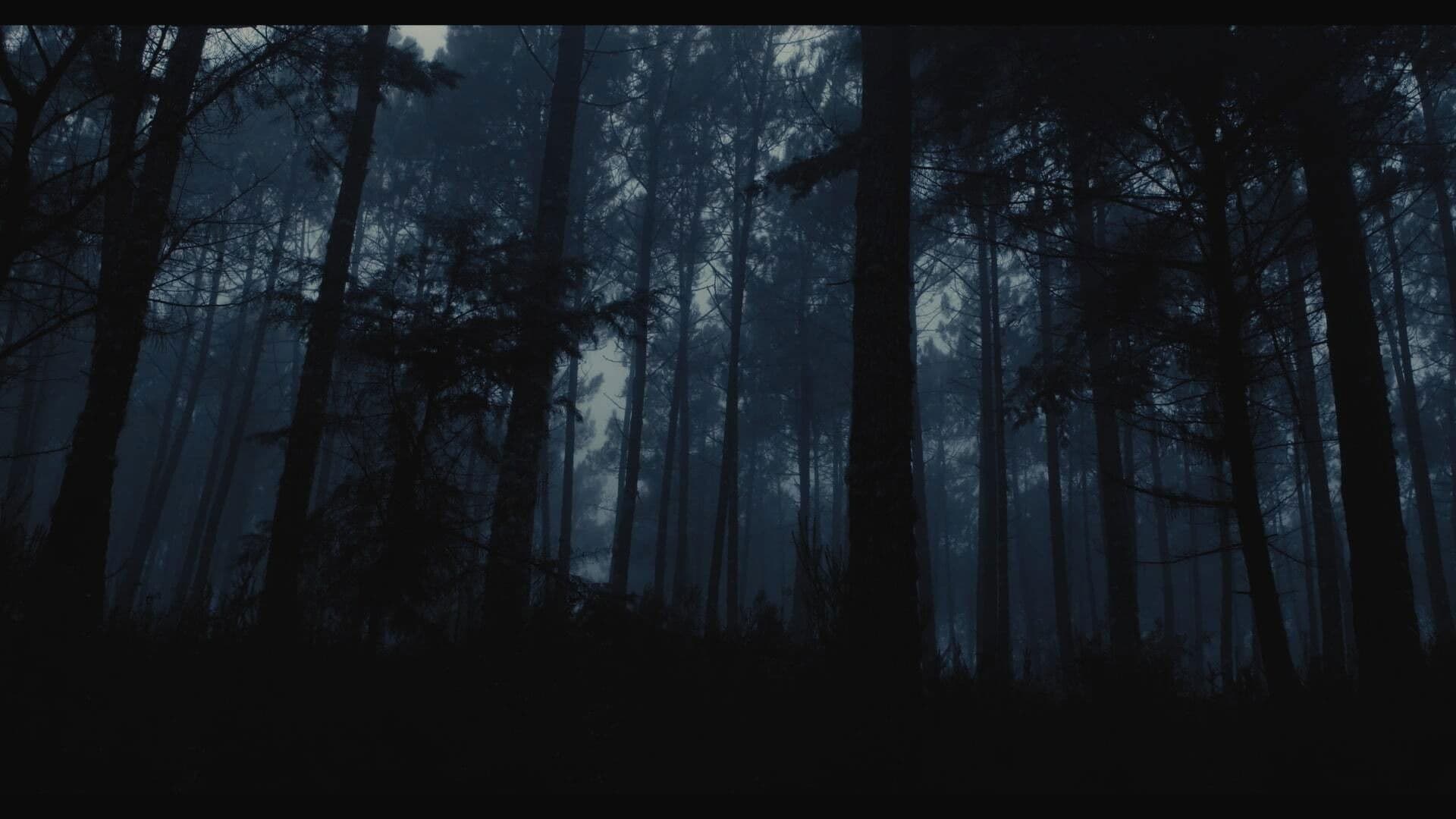 Poster backdrop for Cabra Cega