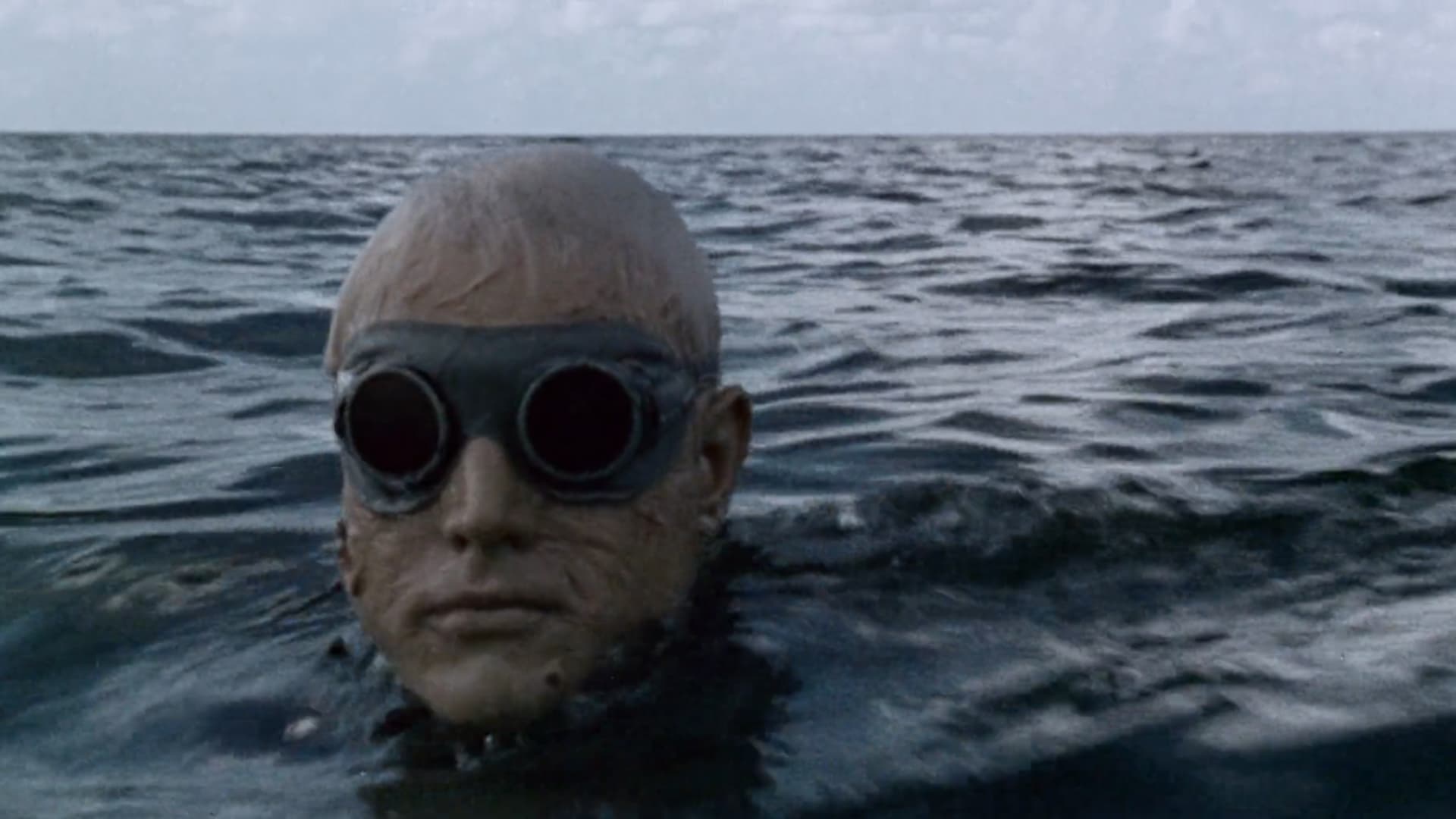 Poster backdrop for Shock Waves