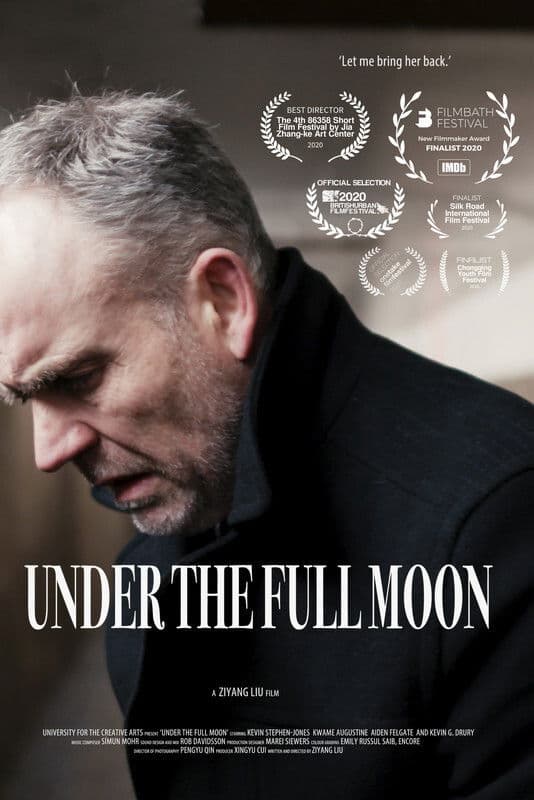 Poster backdrop for Under the Full Moon