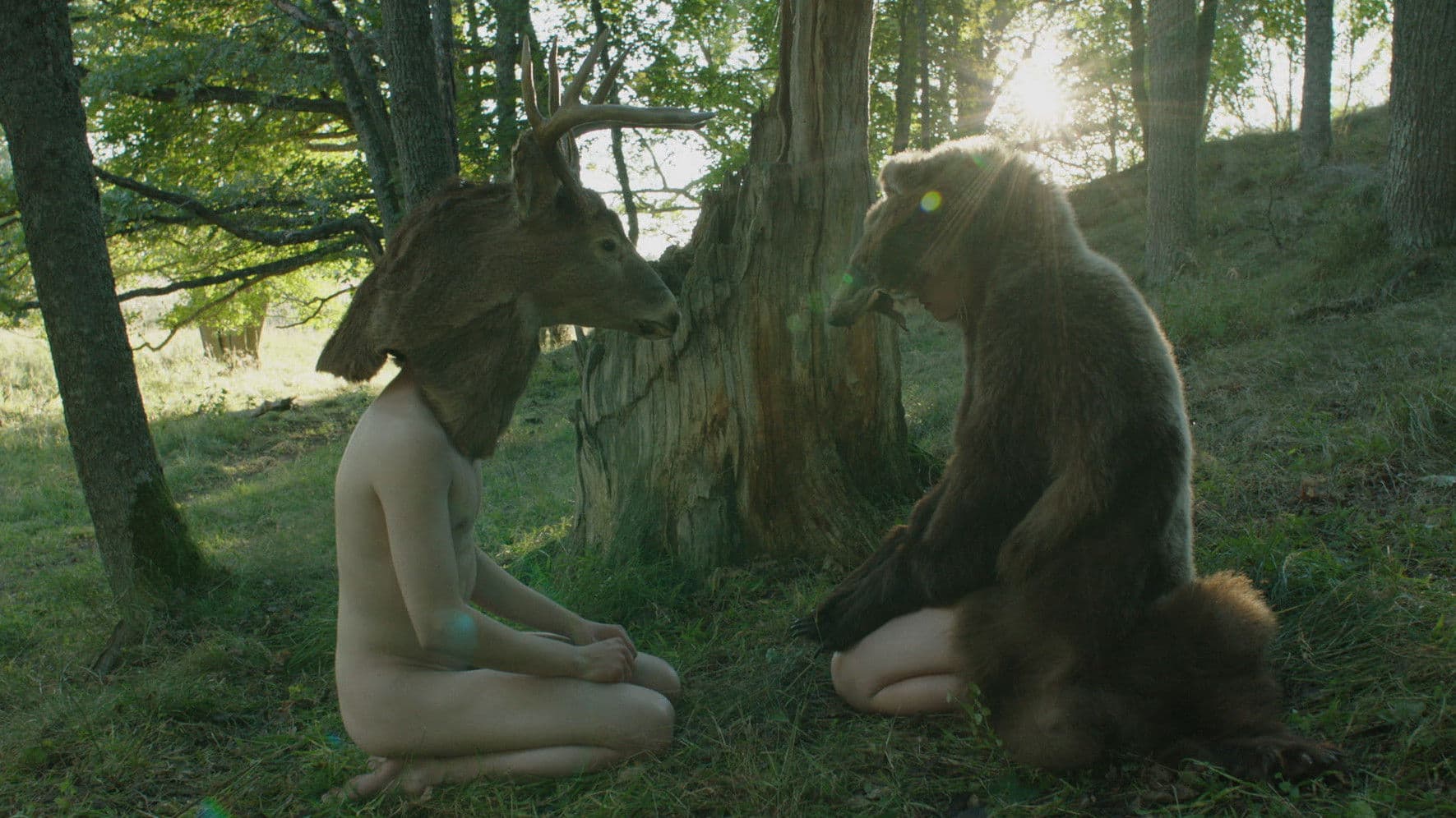 Poster backdrop for They Have Escaped