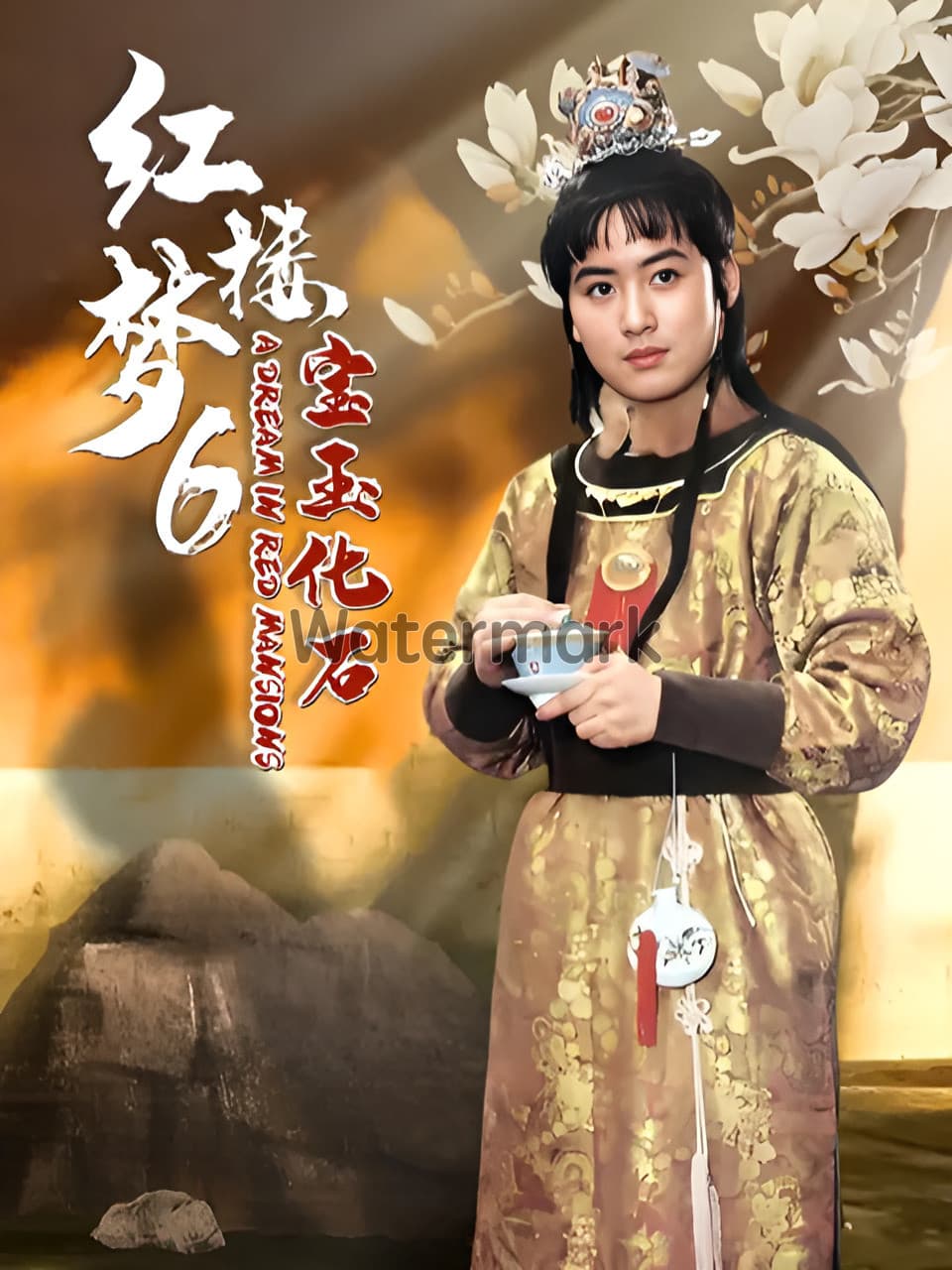 Poster backdrop for 红楼梦第六部：宝玉化石（下）
