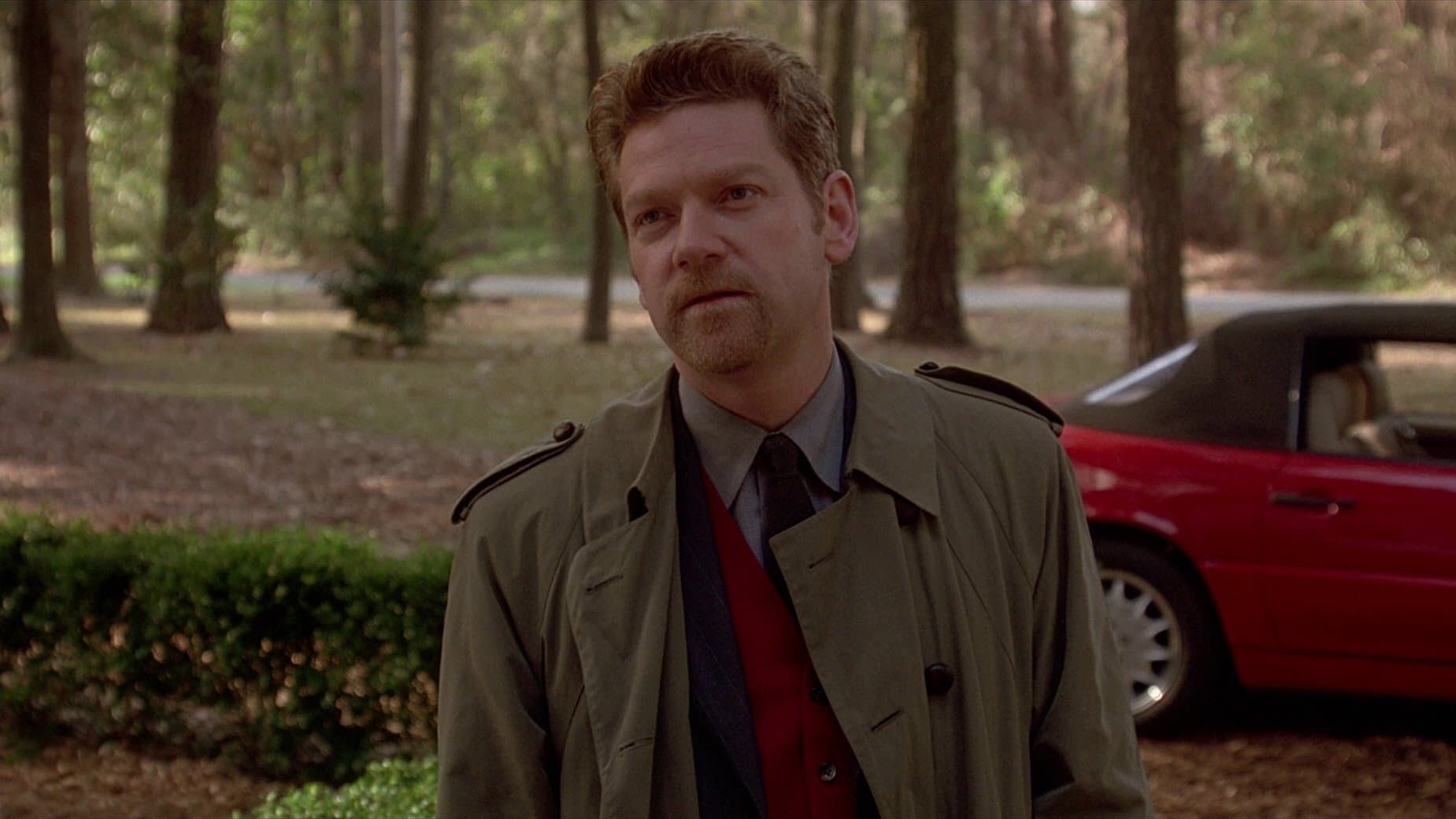 Poster backdrop for The Gingerbread Man