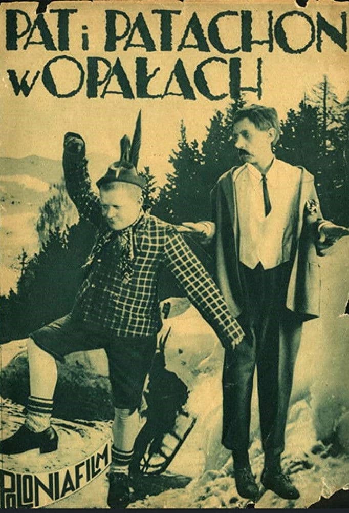 Poster backdrop for Schwiegersöhne