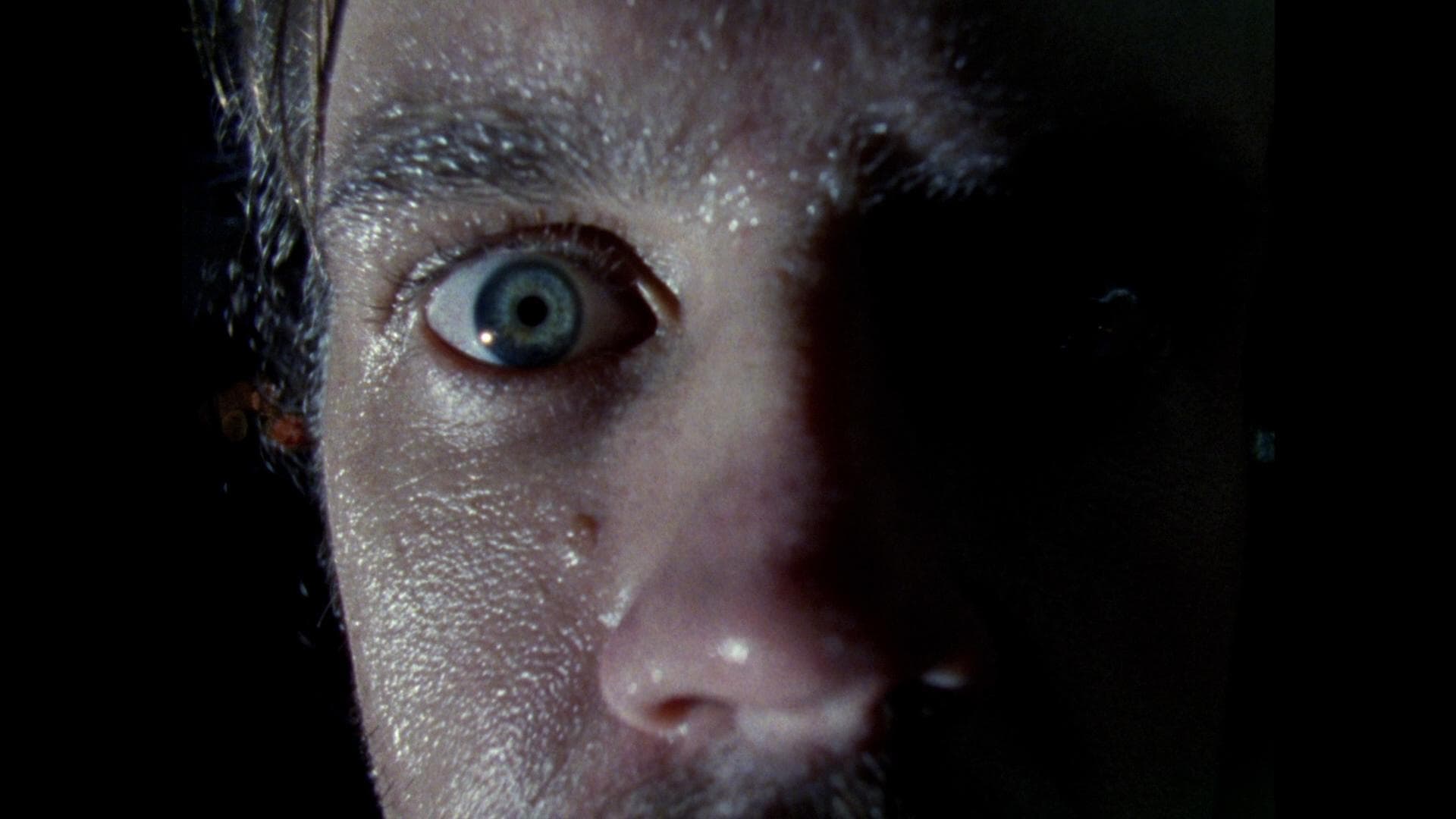 Poster backdrop for Habit