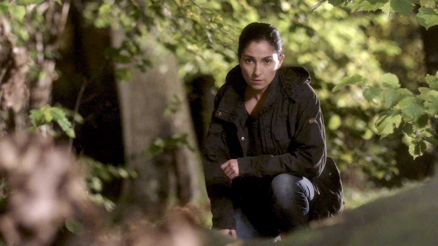 Poster backdrop for Johan Falk: Alla råns moder