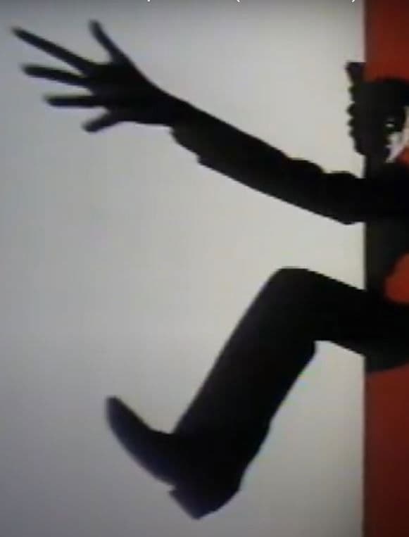 Poster backdrop for L'Univers de Michel Lemieux