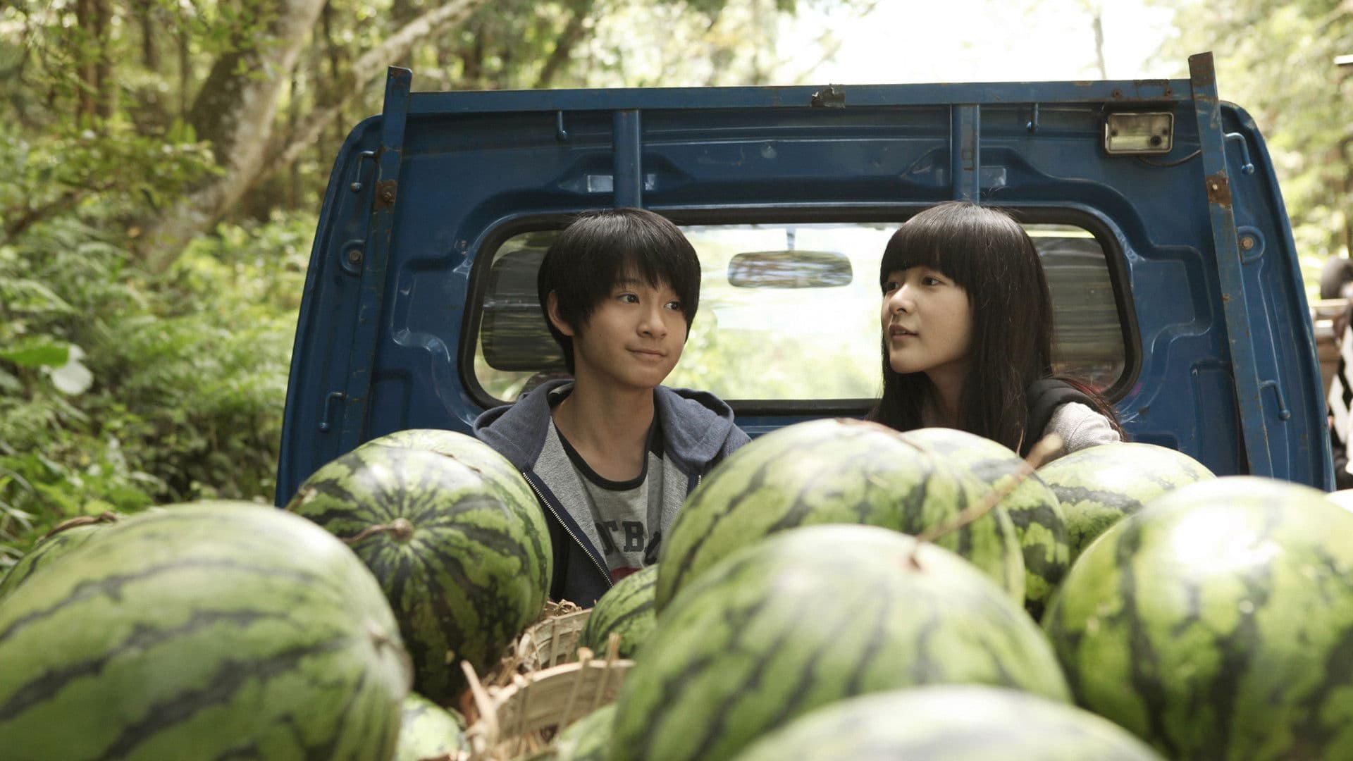 Poster backdrop for Starry Starry Night