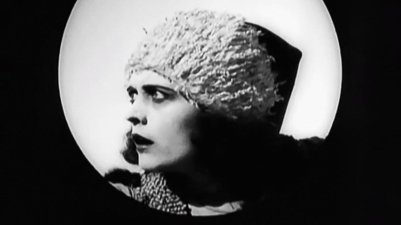 Poster backdrop for The Wildcat