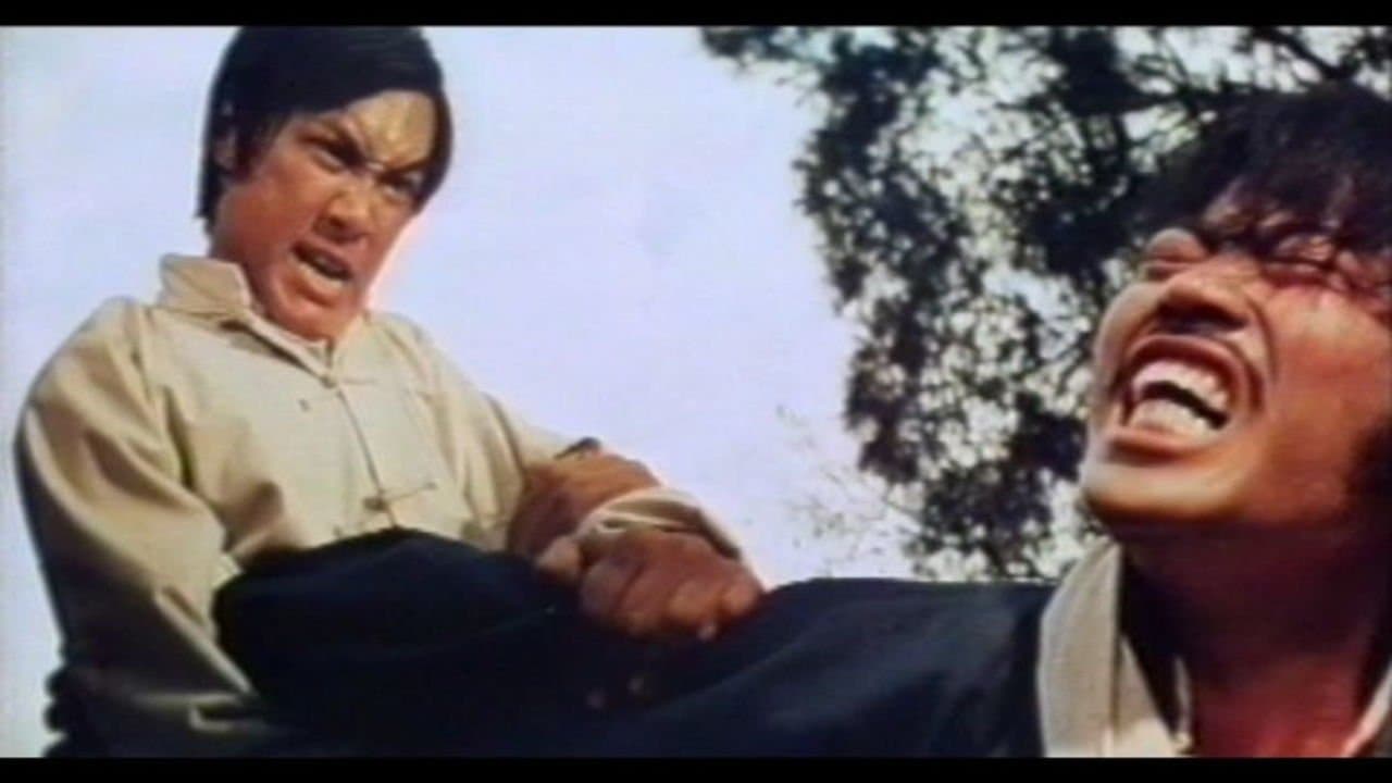 Poster backdrop for Fist to Fist