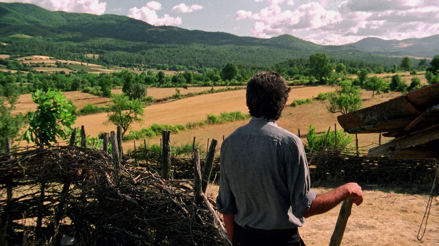 Poster backdrop for Clouds of May