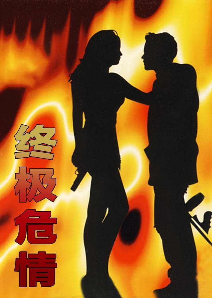 Poster backdrop for Final Target