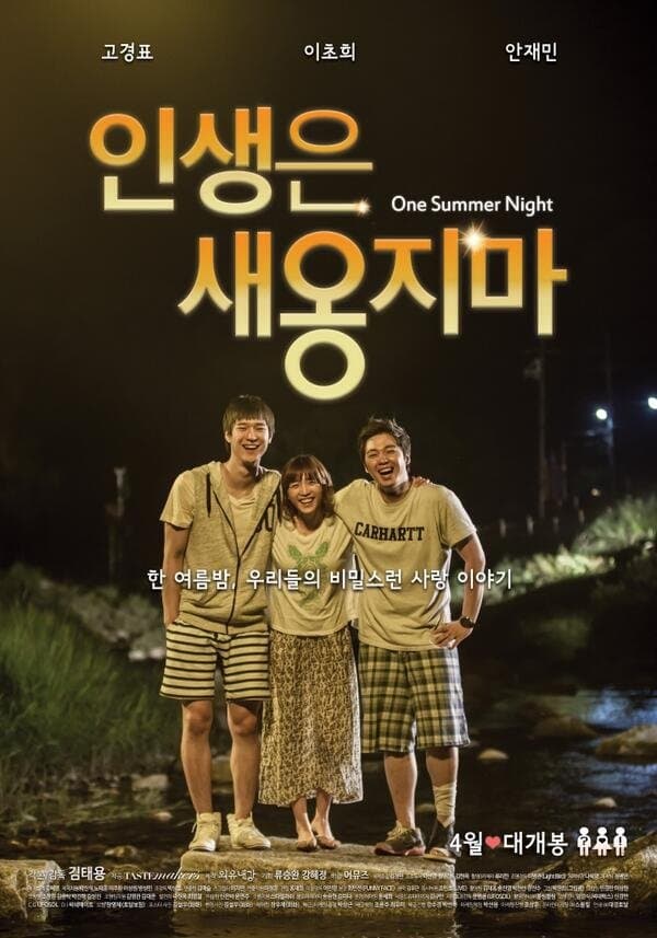 Poster backdrop for One Summer Night