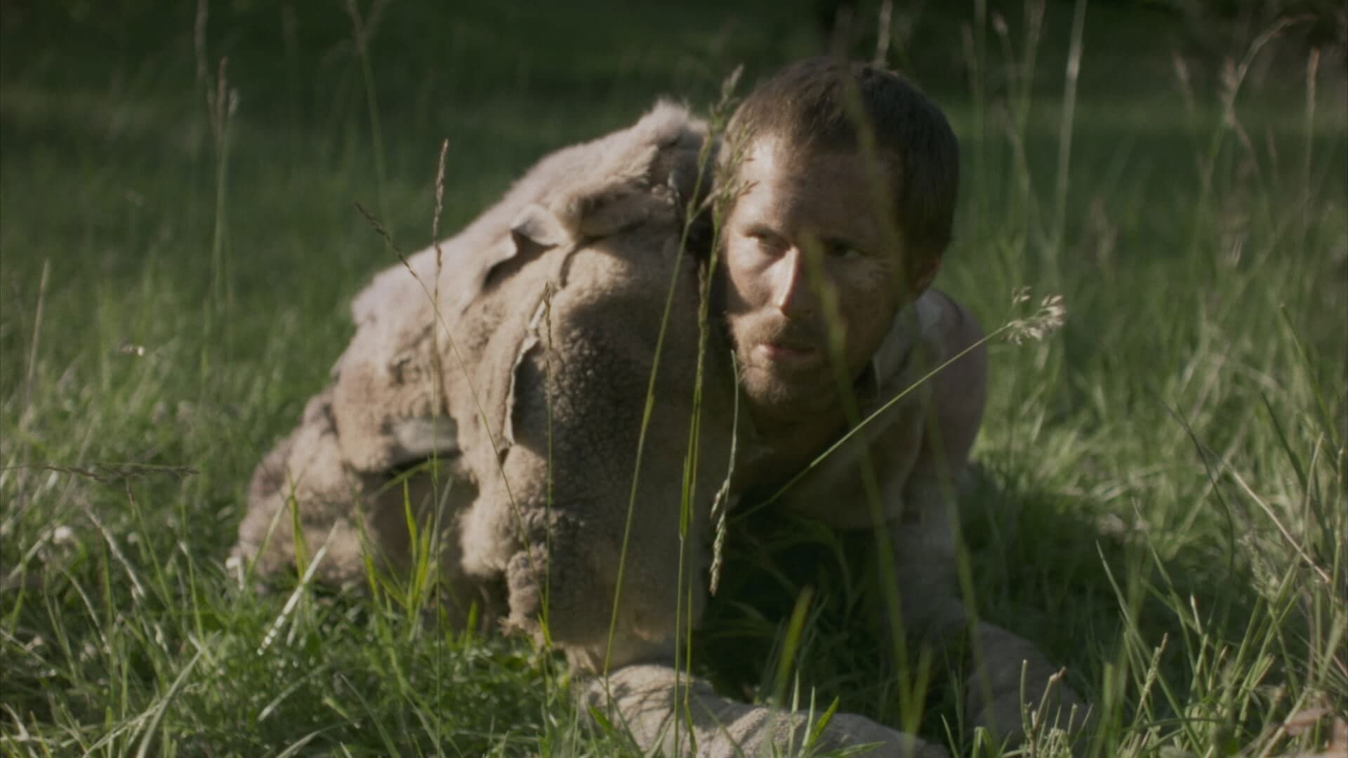 Poster backdrop for Ovella