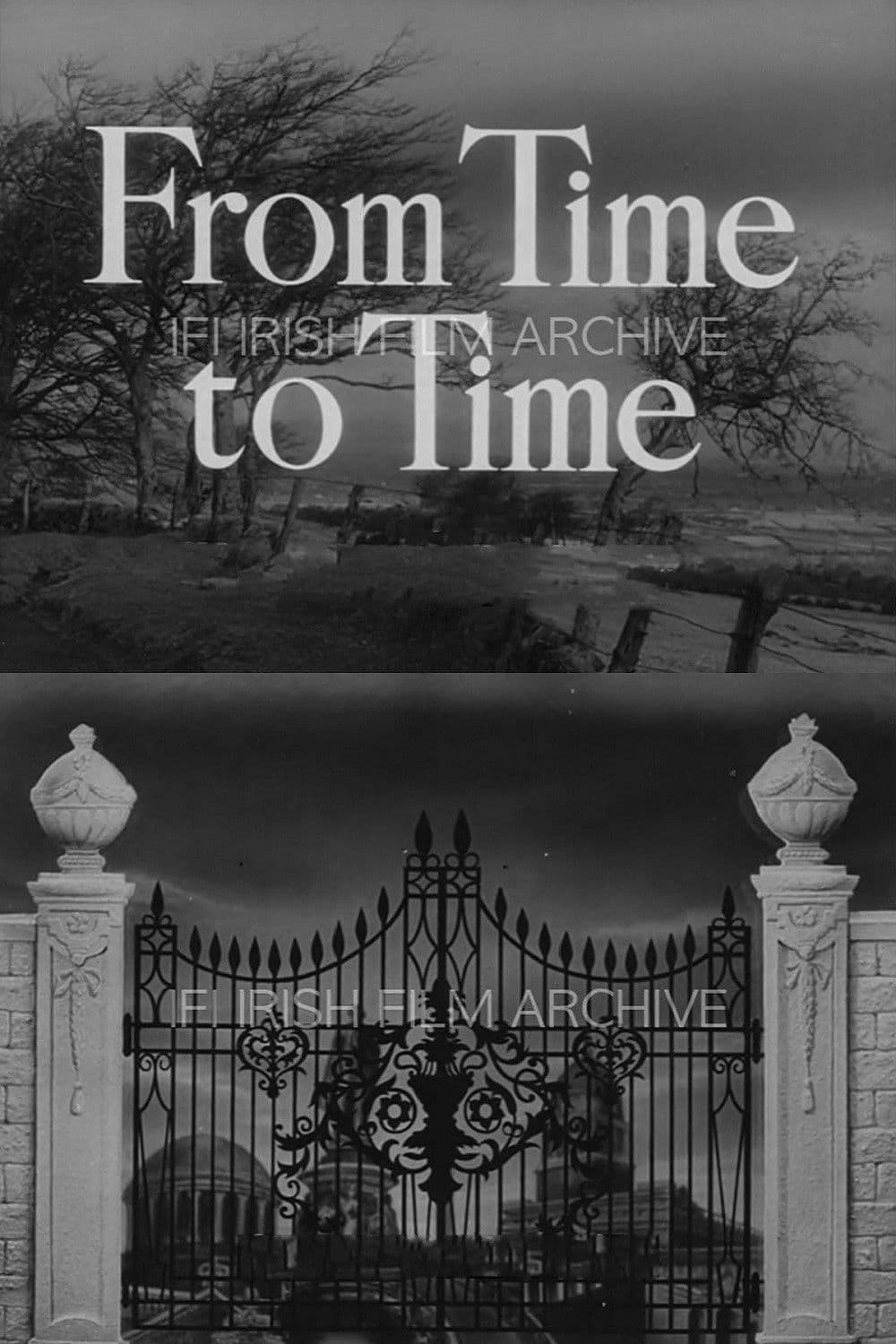 Poster backdrop for From Time to Time