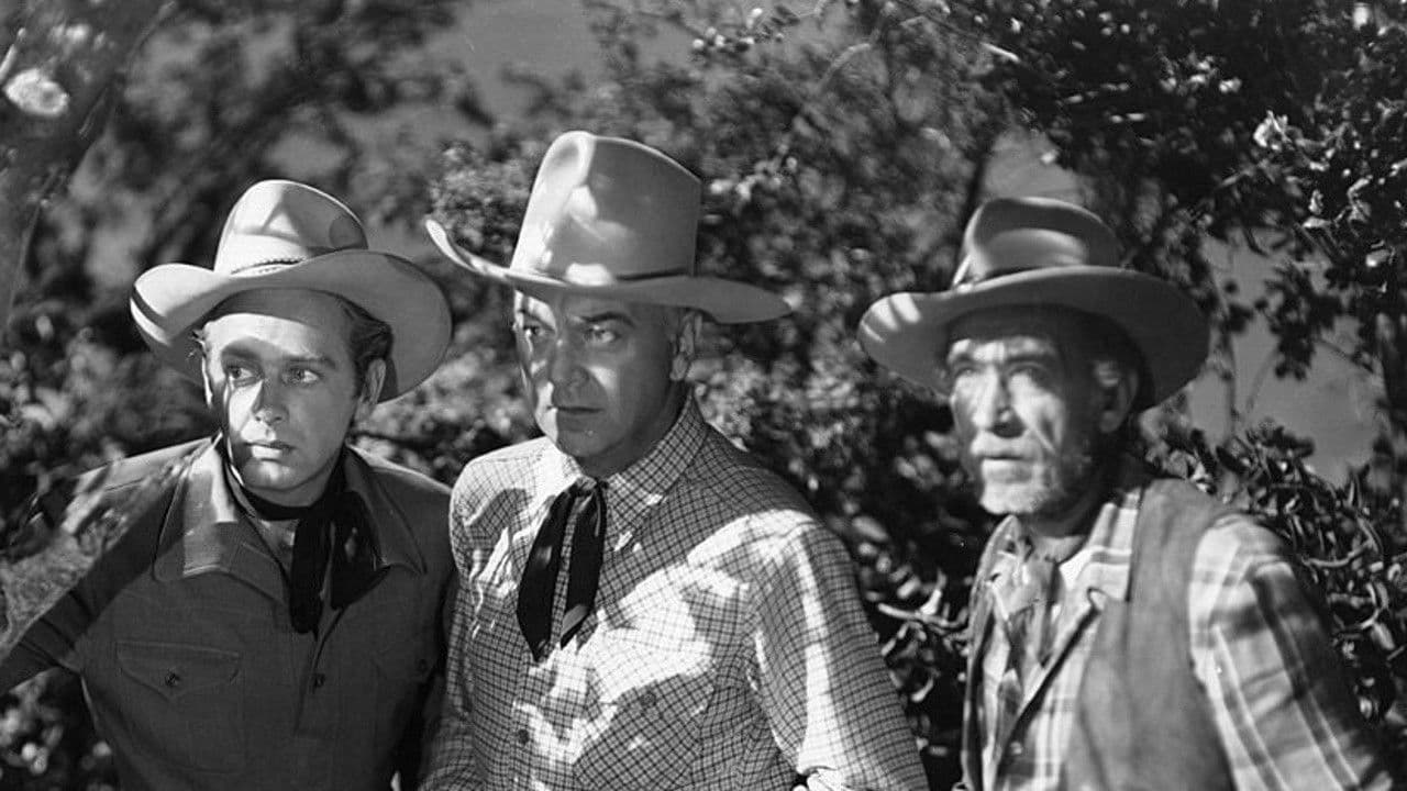 Poster backdrop for Strange Gamble