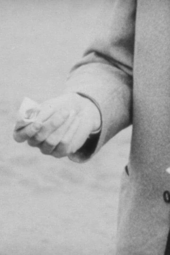 Poster backdrop for Pockpicket - Recollections of a Helsinki Bourgeois Youth