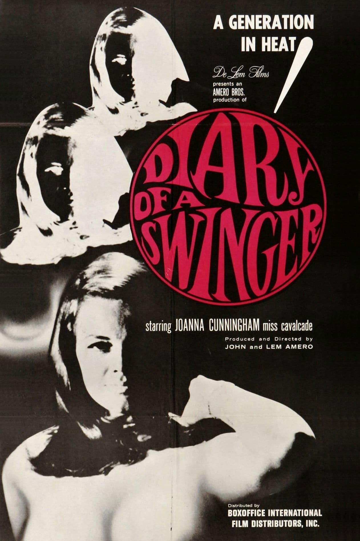 Poster backdrop for Diary of a Swinger