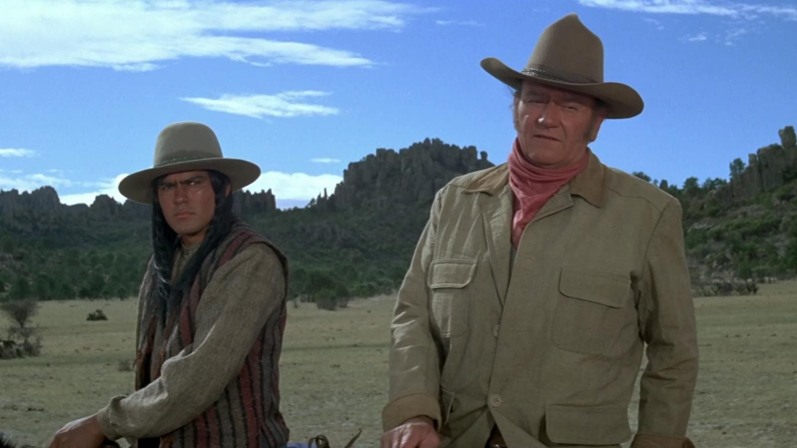 Poster backdrop for The Undefeated