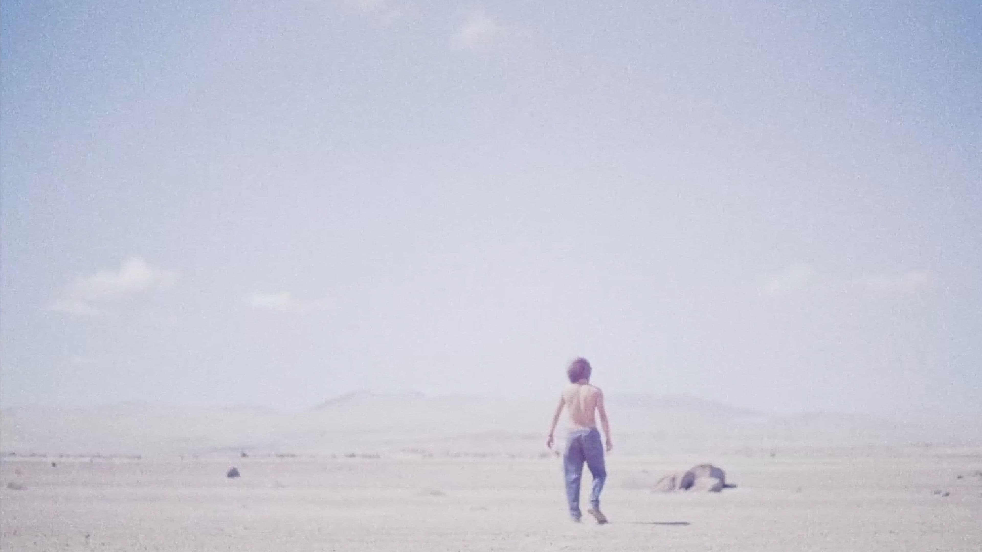 Poster backdrop for Desierto