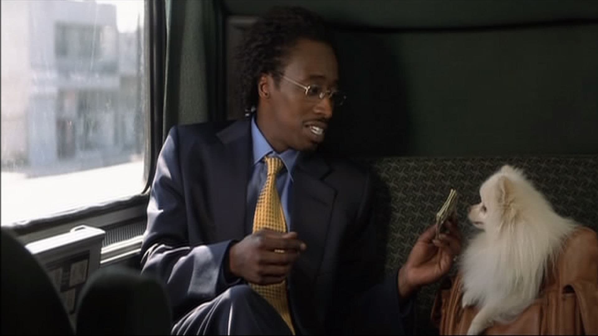 Poster backdrop for Double Take