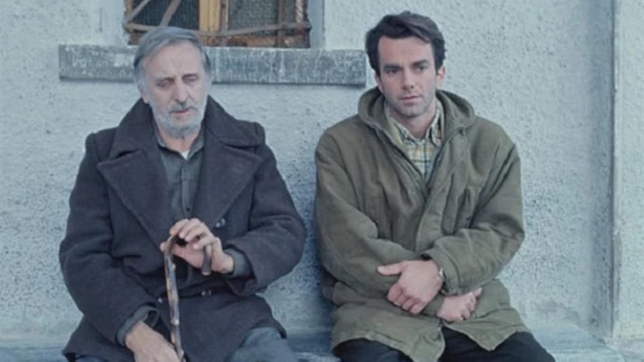 Poster backdrop for Il caso Martello