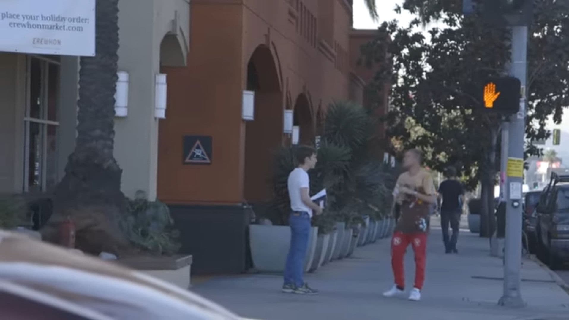 Poster backdrop for Indoor Garden