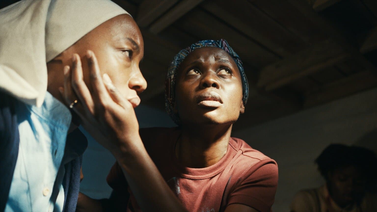 Poster backdrop for Trees of Peace