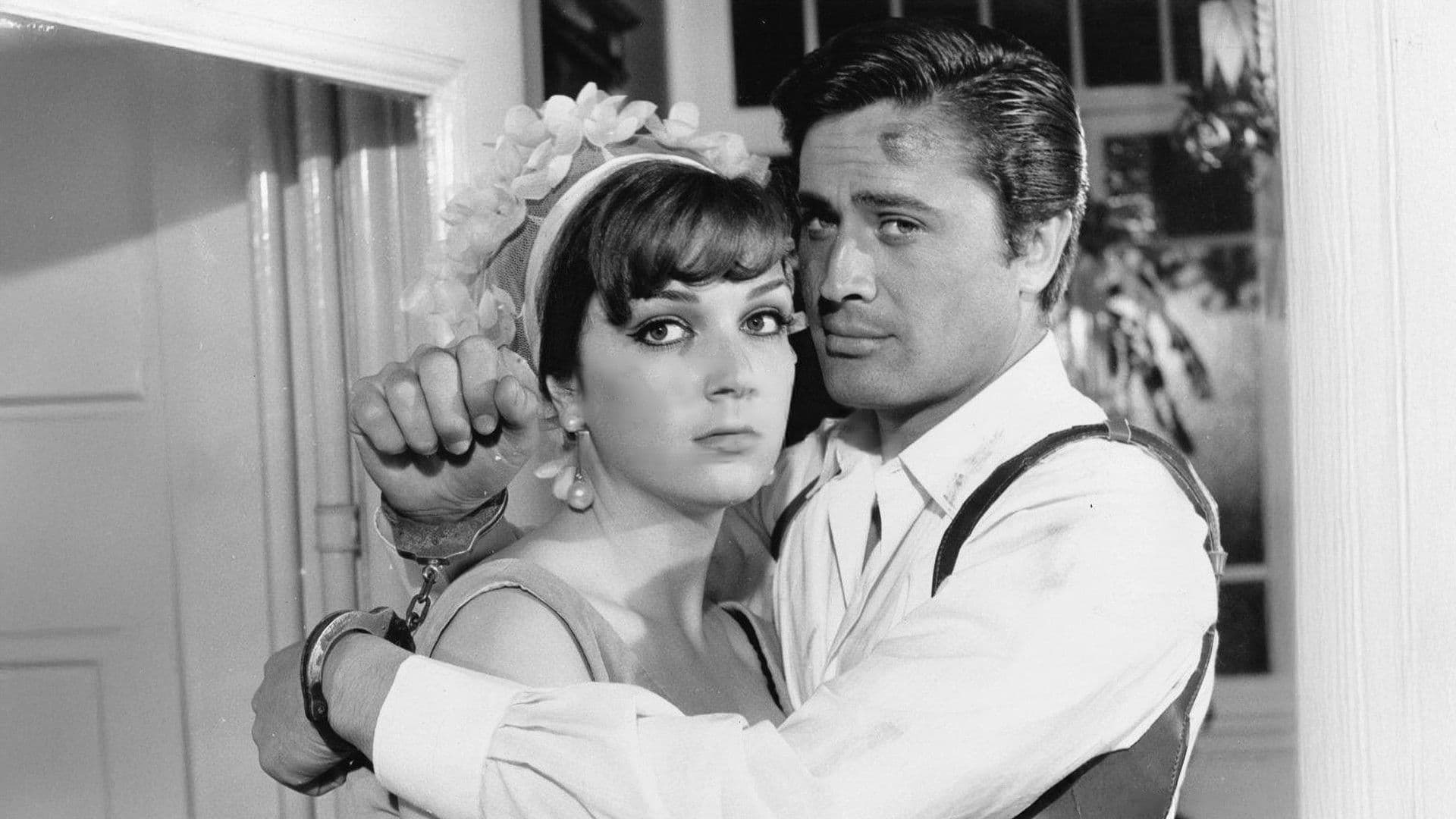 Poster backdrop for Ruby-Eyed Cat