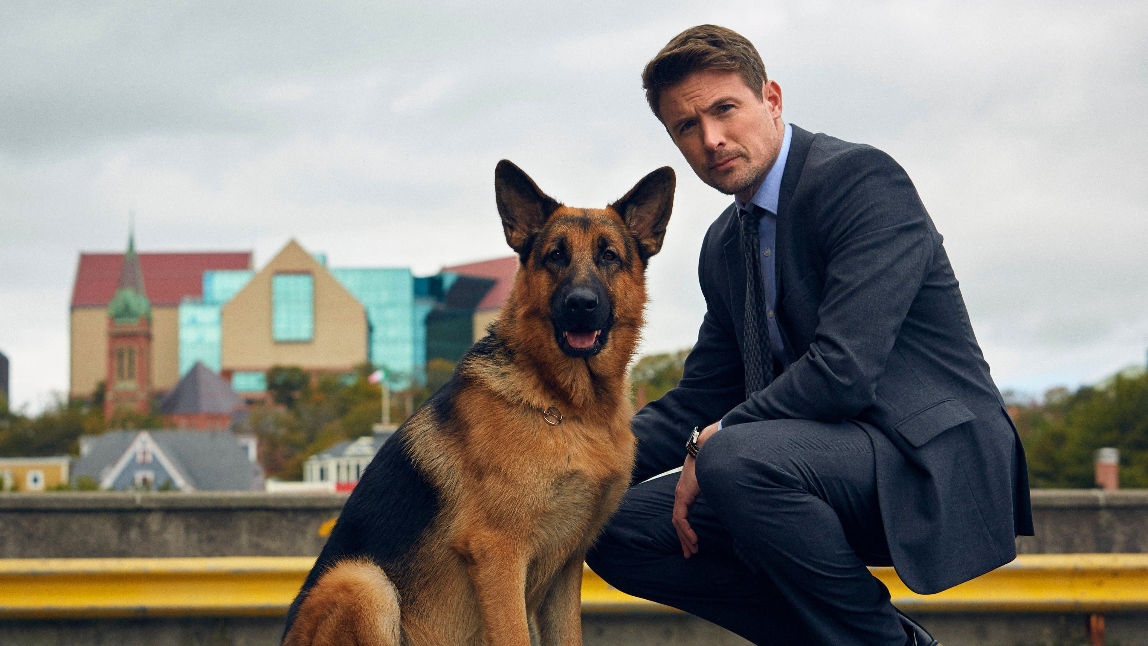 Poster backdrop for Hudson & Rex