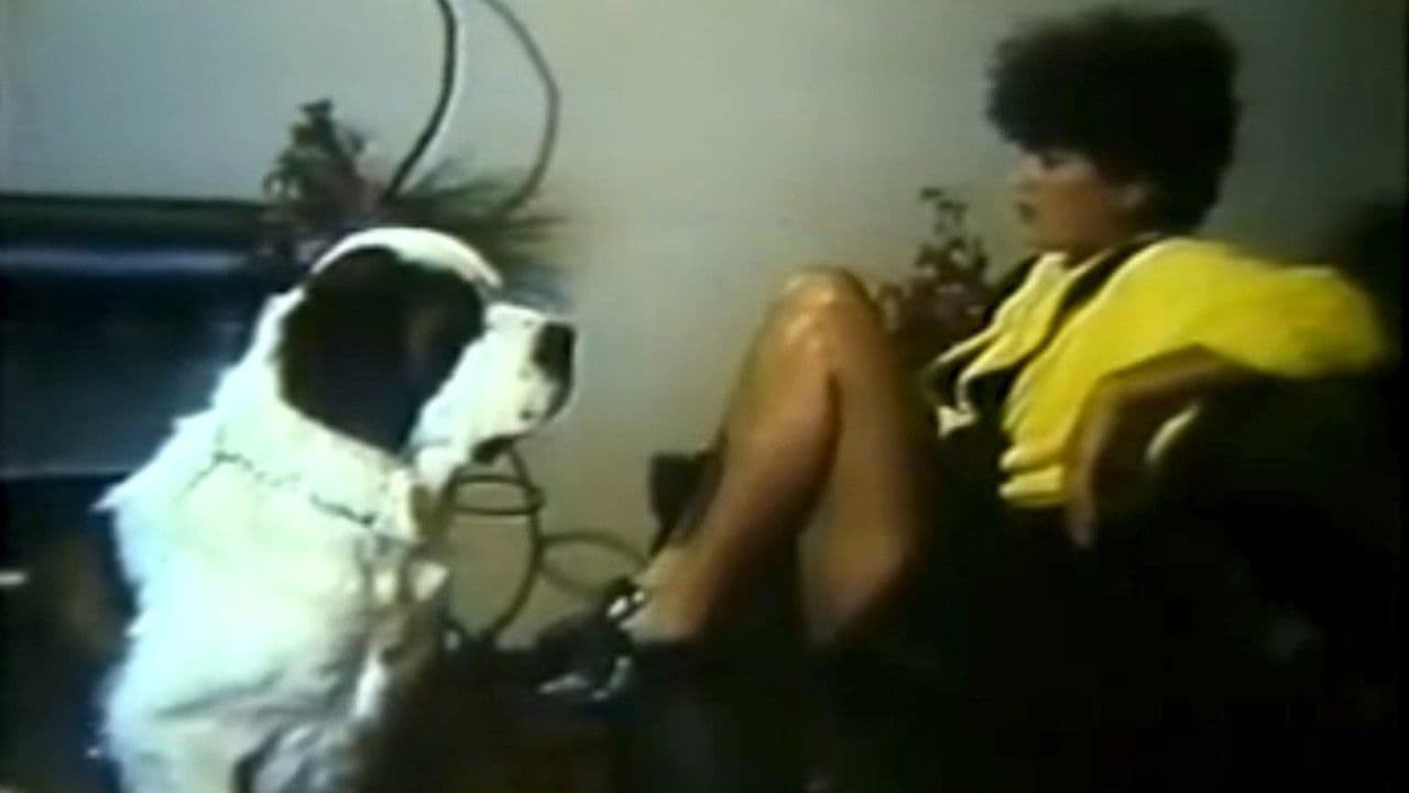 Poster backdrop for Meu Cachorro, Meu Amante